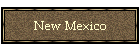 New Mexico