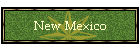 New Mexico