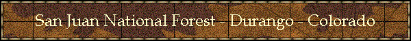San Juan National Forest - Durango - Colorado